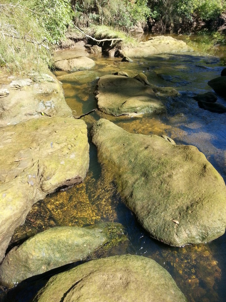 rocky creek crossing, Garigal National Park